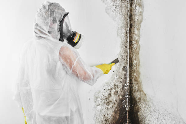 Mold Removal for HVAC Installations in Bishop, CA